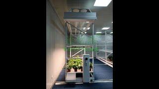 Indoor vertical grow rack systems