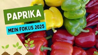 Die Paprika-Saison beginnt: Sorten-Vielfalt und Aussaat-Tipps ️