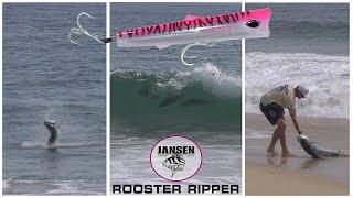 Rooster Ripper