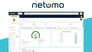 5-Minute Website Management Hack with Netumo Lifetime Deal