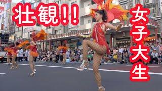 これは必見!ICUラムズ・女子大生のサンバ!【浅草サンバカーニバル】PB 2018 Asakusa samba carnival