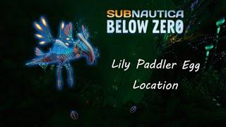 Lily paddler Egg Location. Subnautica: Below Zero