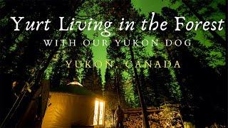 Yurt Living in the Forest - Preparing for Winter in Canada's North -