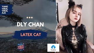 Dly Chan - Latex Cat