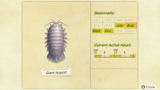 Catching Giant Isopod - Animal Crossing New Horizons