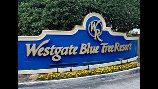 Blue Tree Resort Lake Buena Vista Florida