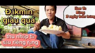 Cậu 7 Gà Khám Phá Nghề Nhặt Sầu Riêng Rụng Thu Nhập Khủng 1h =1Triệu. Tại Đắkmin.