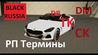 ОСНОВНЫЕ РП ТЕРМИНЫ В BLACK RUSSIA | DM, DB, TK, MG, GZ | BLACK RUSSIA ICE