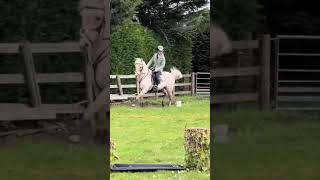 Popcorn #edit #equastrian #horseriding #fail #buck #popcorn #harlowandpopcorn #harlow