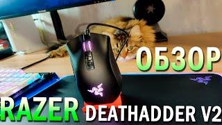 ПЕРЕОСМЫСЛЕНИЕ КЛАССИКИ // Обзор игровой мышки Razer Deathadder V2