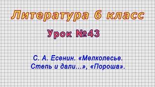 Литература 6 класс (Урок№43 - С. А. Есенин. «Мелколесье. Степь и дали...», «Пороша».)