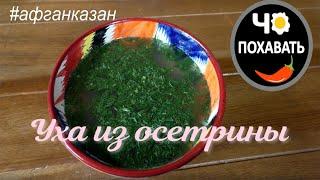 Уха из осетрины ! готовим в афганском казане