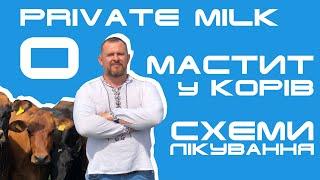 Мастит у корів. Схеми лікування. | Private Milk | Травецький