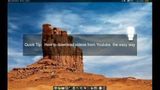 How to download videos from YouTube - The easy way -