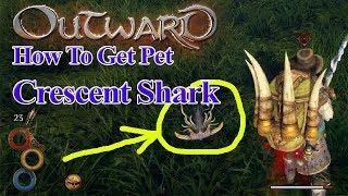 Outward: How To Get Pet Crescent Shark