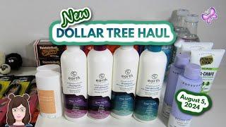 Amazing Dollar Tree Haul! Awesome New Finds!! August 5, 2024