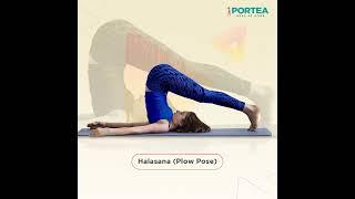 7 Best Yoga Asanas For Diabetes I Portea Medical I