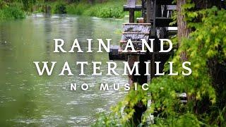 Escape to Solitude with the Mellow Sounds of Rain and Soft Flowing River