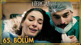 Hercai Episode 65