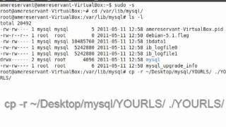 How To Recover MySQL Database From Data Files