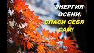 Энергия осени. Спаси себя сам! Алена Дмитриева.