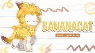 ) BananaCat : [ pony town skin ]