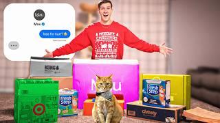 I DM'ed 100 Brands to Send My Cat Christmas Gifts