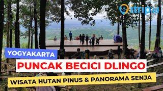 Puncak Becici, Destinasi Alam di Bantul Jogja dengan Pemandangan Eksotis