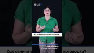 IBLS — Как отличить пословицу от поговорки? #shorts