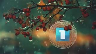 Autumn tv spot for Public tv of Armenia