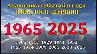 #1965 год  и #2025 годы ЗМЕИ, ЛОСЯ, ШЕРШНЯ Аналитика событий #1965