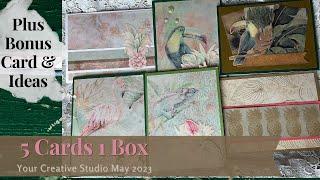 5 Cards 1 Box plus bonus card Your Creative Studio  May 2023