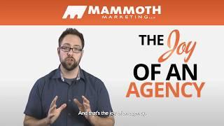 Why Hire an Agency // Mammoth Marketing
