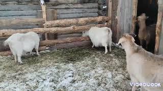 Пока прощаюсь с ютубом, но вы меня не теряйте на другой площадке