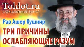 Рав Ашер Кушнир. Три причины, ослабляющие разум. Обязанности сердец 39