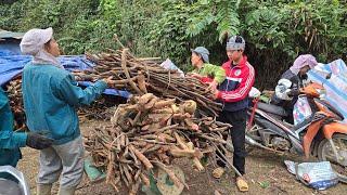 The Boy went into the forest to pick medicinal herbs to sell, making a living day by day.