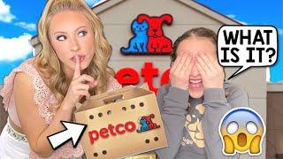 I ADOPTED TWO NEW PETS?!  SURPRISING KALLI WITH THE BIG NEWS 