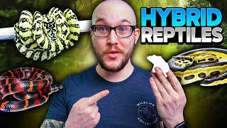 5 INSANE NEW Hybrid Snakes You'll See in 2023!