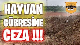 HAYVAN GÜBRESİNE CEZA ! #gübre #çevre #hayvan #gübresine #ceza #hayvansevgisi #animals