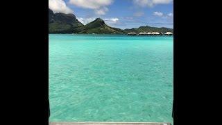 The Virtual Investor ... Mark Evans DM,DN's office in Bora Bora