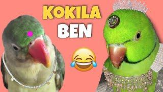 Kokila Ben famous dialogue  ~ Free wala Biscuit 