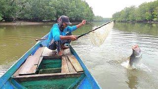 PAGI PAGI PANCING KULUP SUDAH DISIKSA HABIS HABISAN MONSTER BARRAMUNDI INI...!!