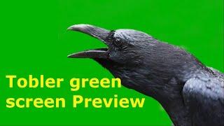 Tobler green screen preview