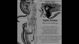 Alpine Acrobat - Warm Season Gatherings (2021) (Old School Dungeon Synth, Dungeon Noise)