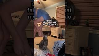 You won’t believe her reaction  #cat