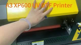 Newest ACHI A3 Dual XP600 UV DTF Printer #uvdtfprinter