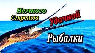 Осенний Крым. Лучшая Пора Для Ловли Саргана. Немного Секретов Удачной Рыбалки в Ялте.