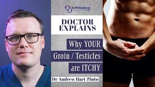 Itchy Testicles / Groin ? This is why ...