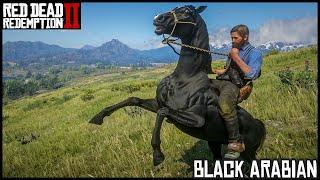 AUTHUR SELLING RARE GIANT HORSE RDR 2 || PART 4