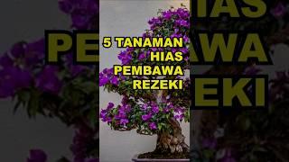 5 Tanaman Hias Pembawa Rezeki #ekoazis